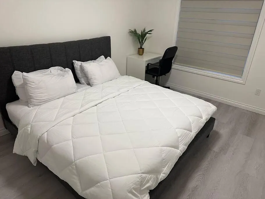Award Winning Boho Paradise Sunlit Modern Suite Calgary Canada